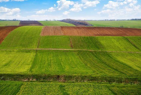 Успял български фермер обработва 4500 декара земя